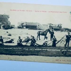 Valras la plage après la pêche 34 cheval filets