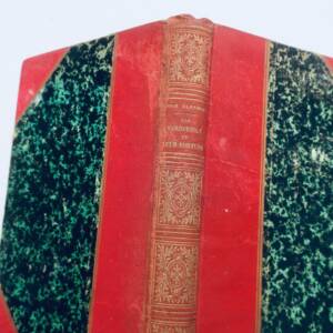 VANDERBILT ET LEUR FORTUNE 1889