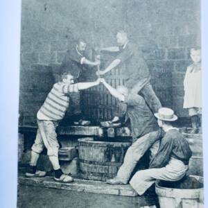 vendanges le pressurage VIN