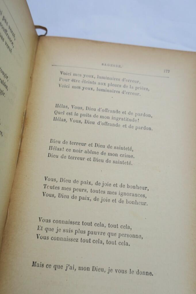 Auswahl von Paul Verlaine Gedichten