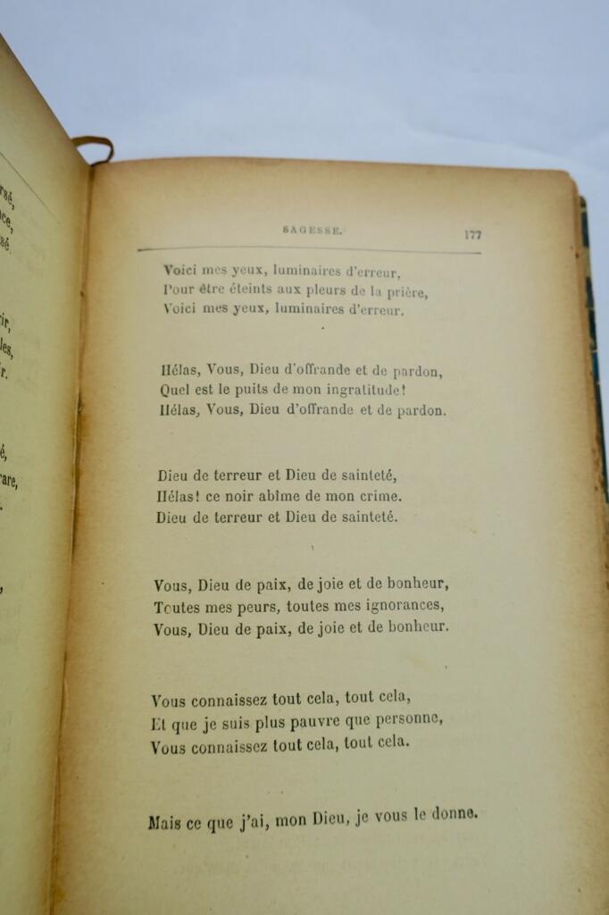 Auswahl von Paul Verlaine Gedichten