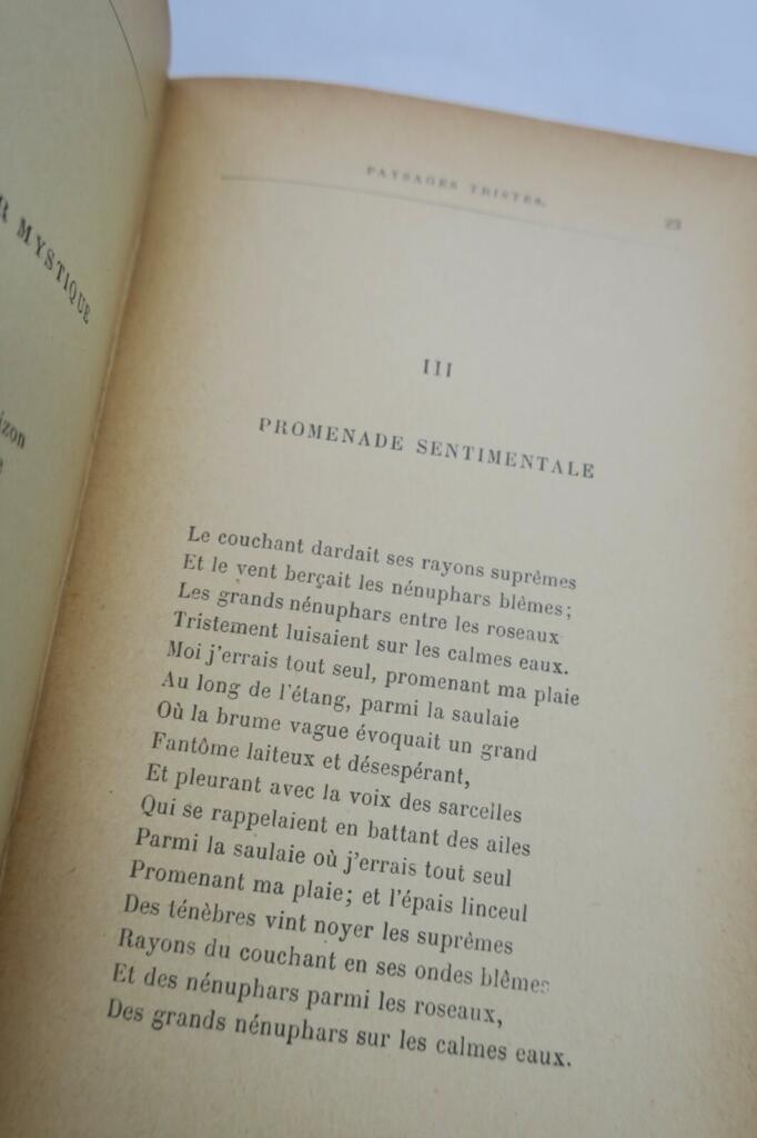 Auswahl von Paul Verlaine Gedichten