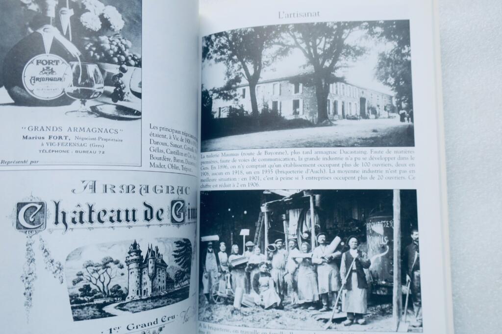 Vic-Fezensac et son canton