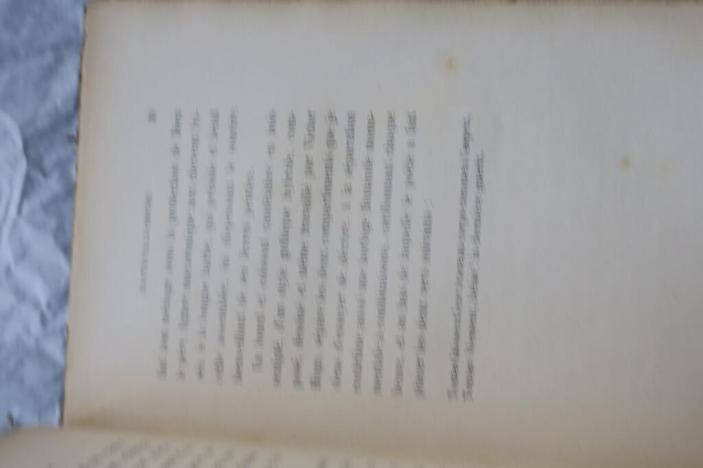 Unveröffentlichte Erinnerungen von Victor Hugo