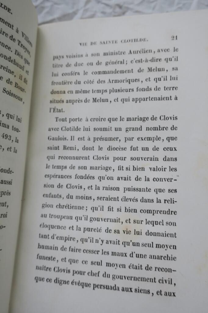 Biografie einer französischen Königin