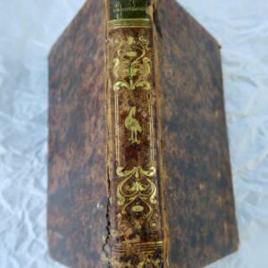 VIE DE St LOUIS DE GONZAGUE1839