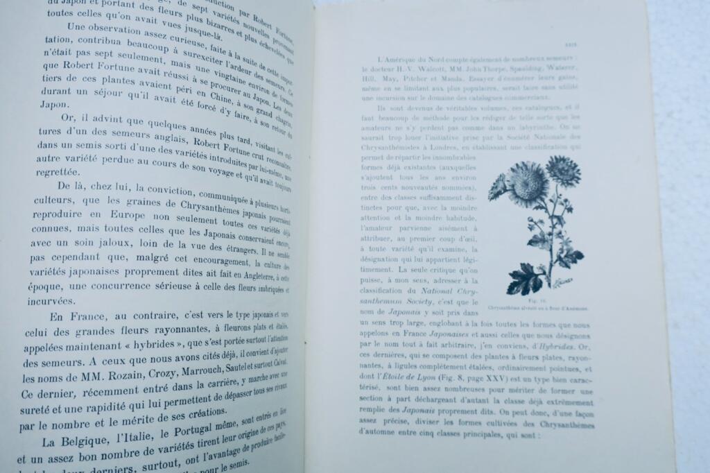 菊花栽培技术与多样品种