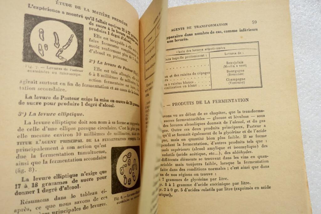 Practical Winemaking & Storage Manual 1947
