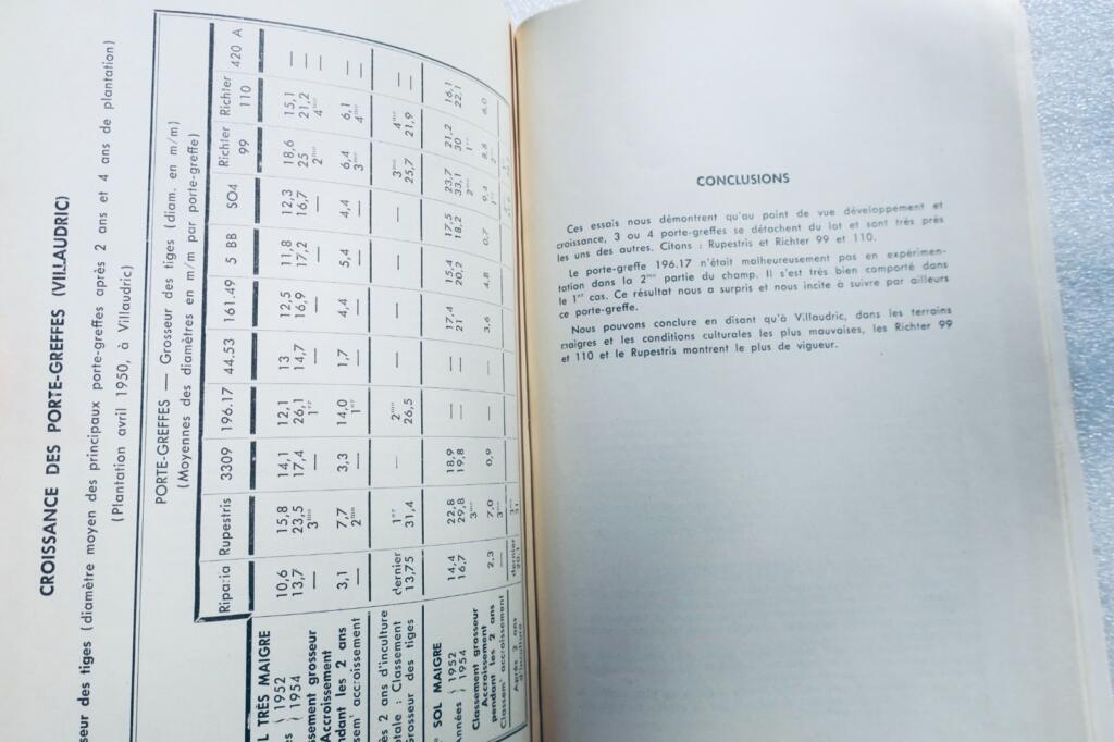Study of Grape Varieties