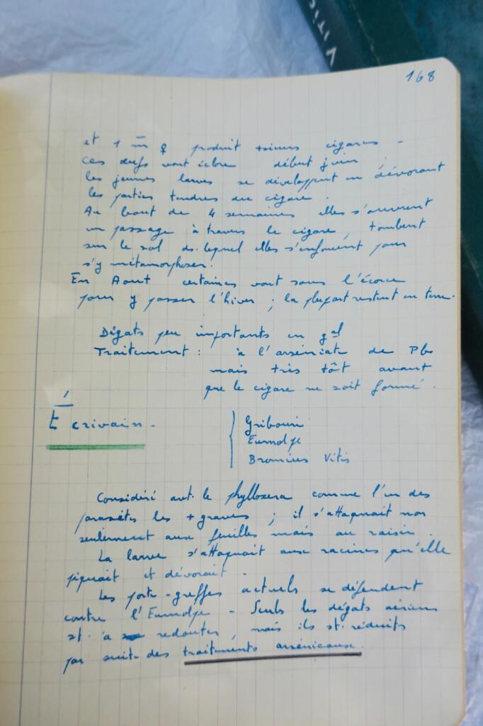 Viticulture Course - Higher Agricultural School