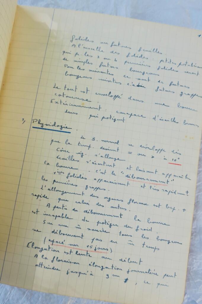 1947-48年葡萄栽培学课程笔记
