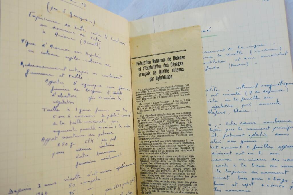 1947-48年葡萄栽培学课程笔记