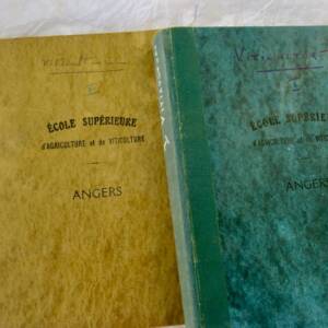 VIN Viticulture cours de l'école supérieure d'agriculture et de viticulture 1947