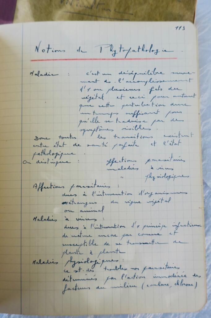 1947-48年葡萄栽培学课程笔记