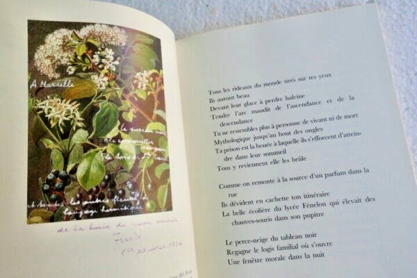 Violette Nozières: Gedichte, Zeichnungen, Korrespondenz