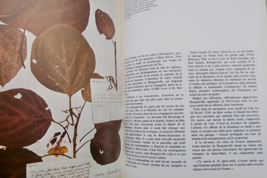 Bougainville's Pacific Voyages