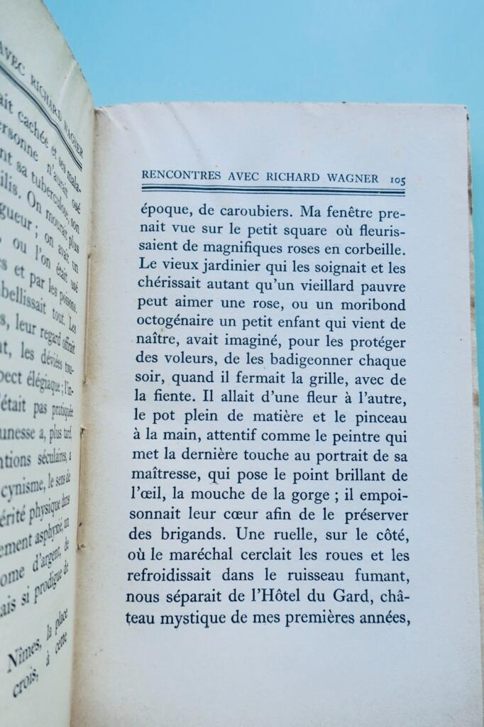 Begegnungen mit Richard Wagner