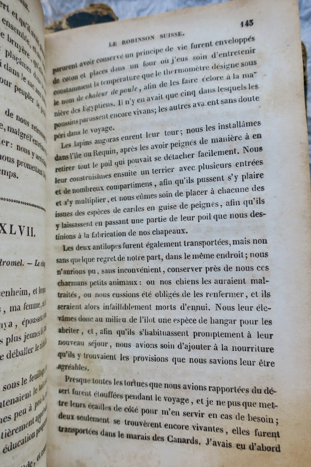 WYSS Le Robinson suisse, ou récit d'un père de famille jeté par un naufrage 1837 – Image 4