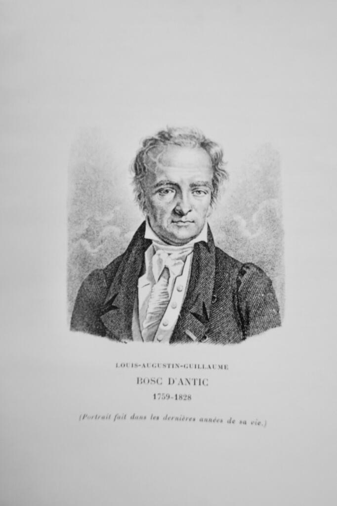 Komplette Zeitschrift des 18. Jahrhunderts (1913-1918)