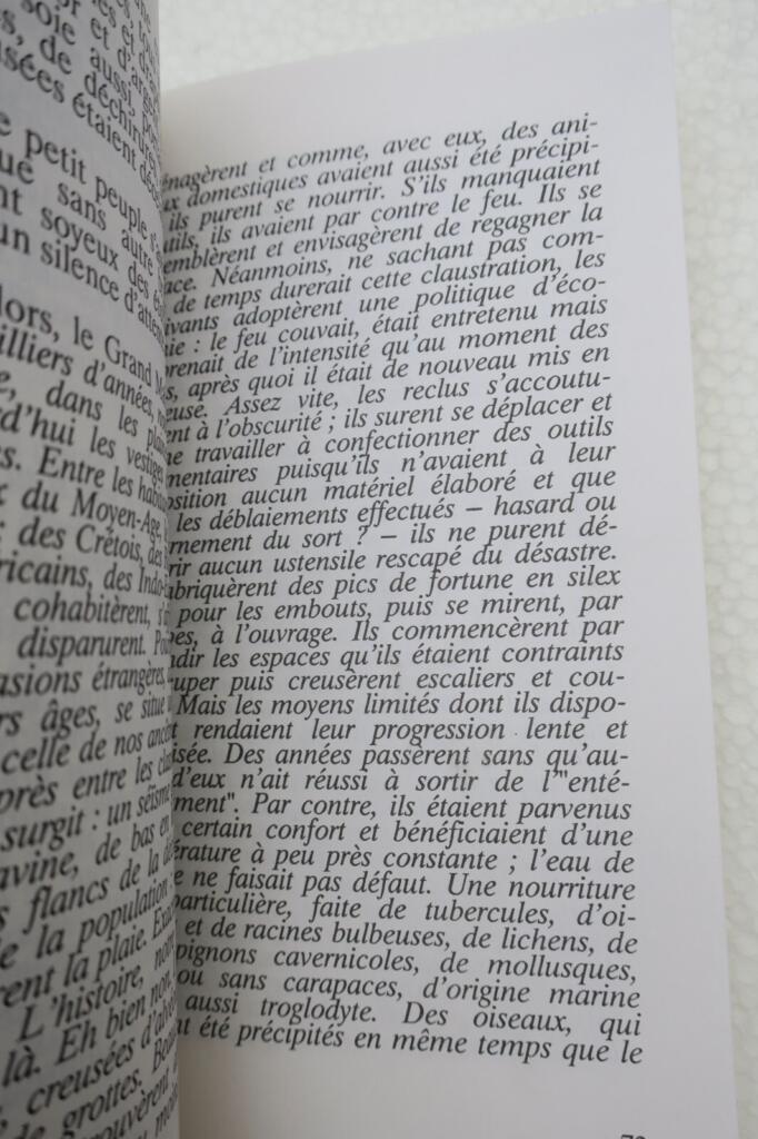 Die Orgeln der Stille - Literarische Meditation