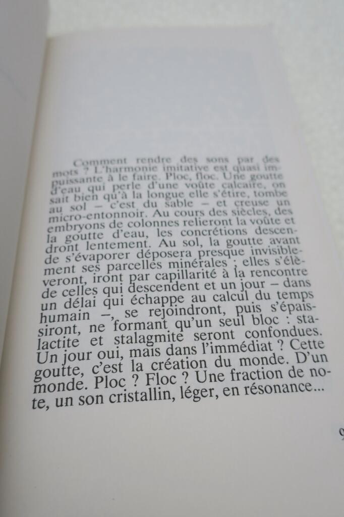 Die Orgeln der Stille - Literarische Meditation