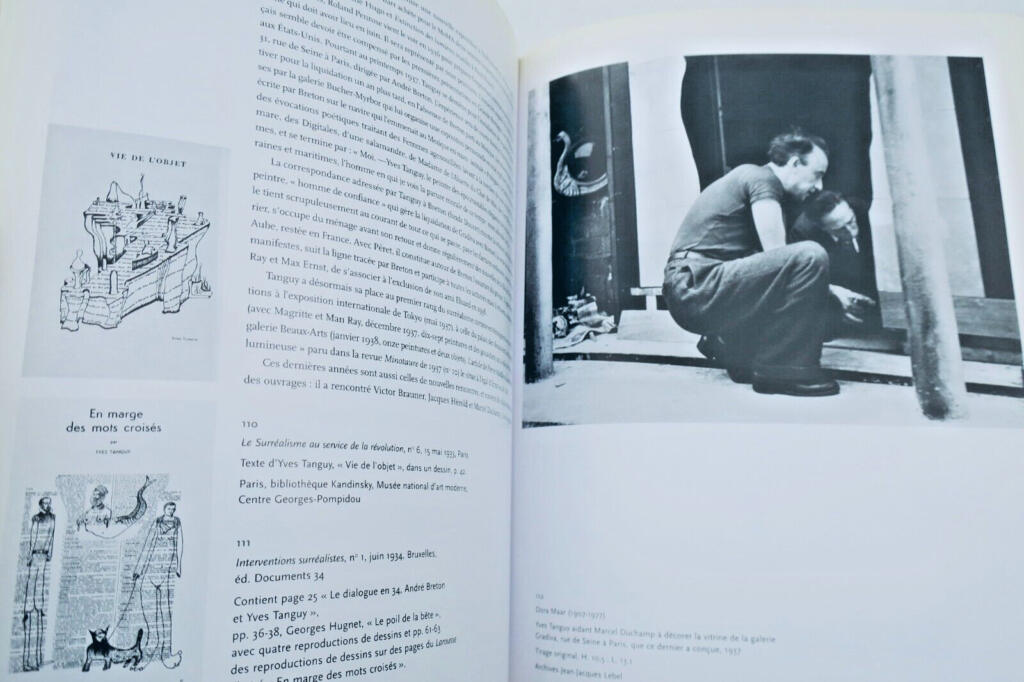 André CARIOU: Yves Tanguys surrealistisches Universum