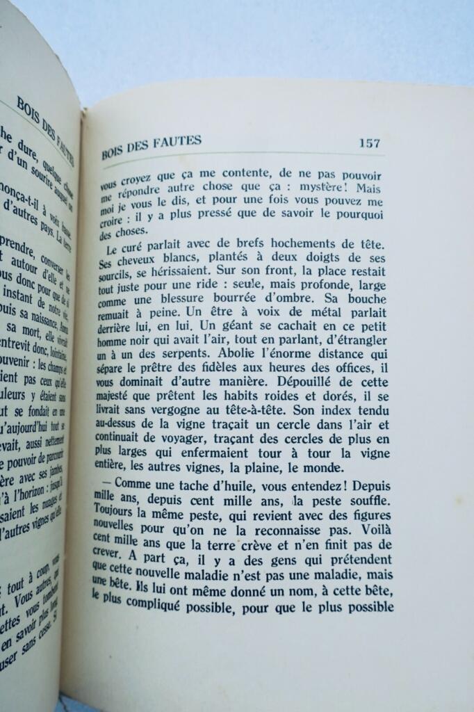 Reflections on Friendship through Literature