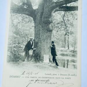 95 DOMONT - Une partie de cache-cache dans la foret de Montmorency