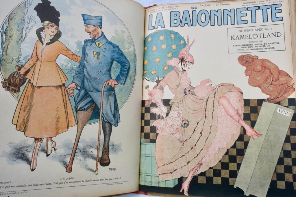 Illustriertes Werk über Kriegsthemen