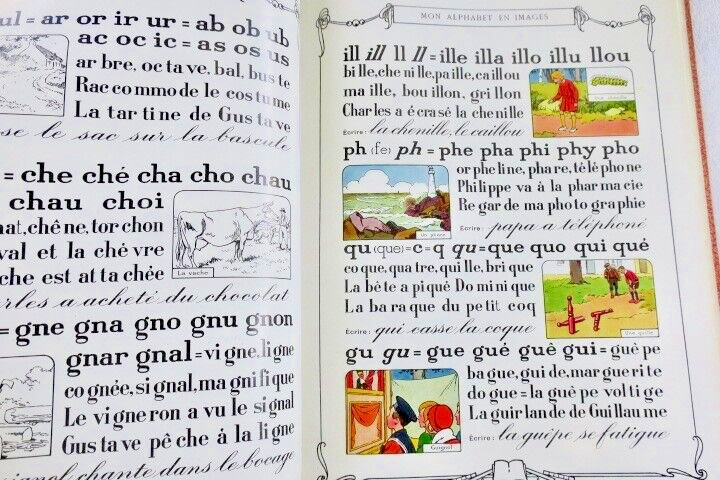 Illustriertes Alphabet A-Z - Image 6