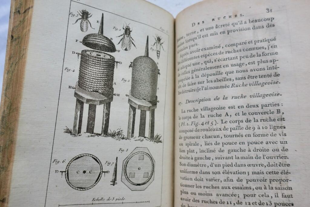 Landschaften und Bienenzucht-Handbuch