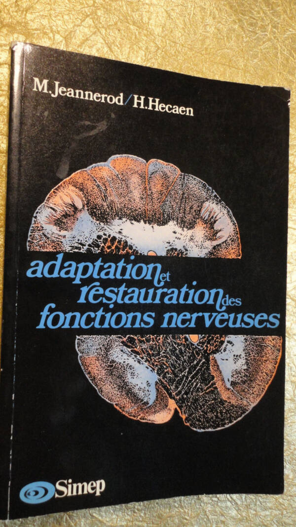 Nervous Function Adaptation and Restoration