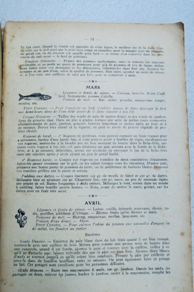 AF almanach de l&rsquo;action française 1919