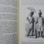 Britische Feldzüge in Afrika