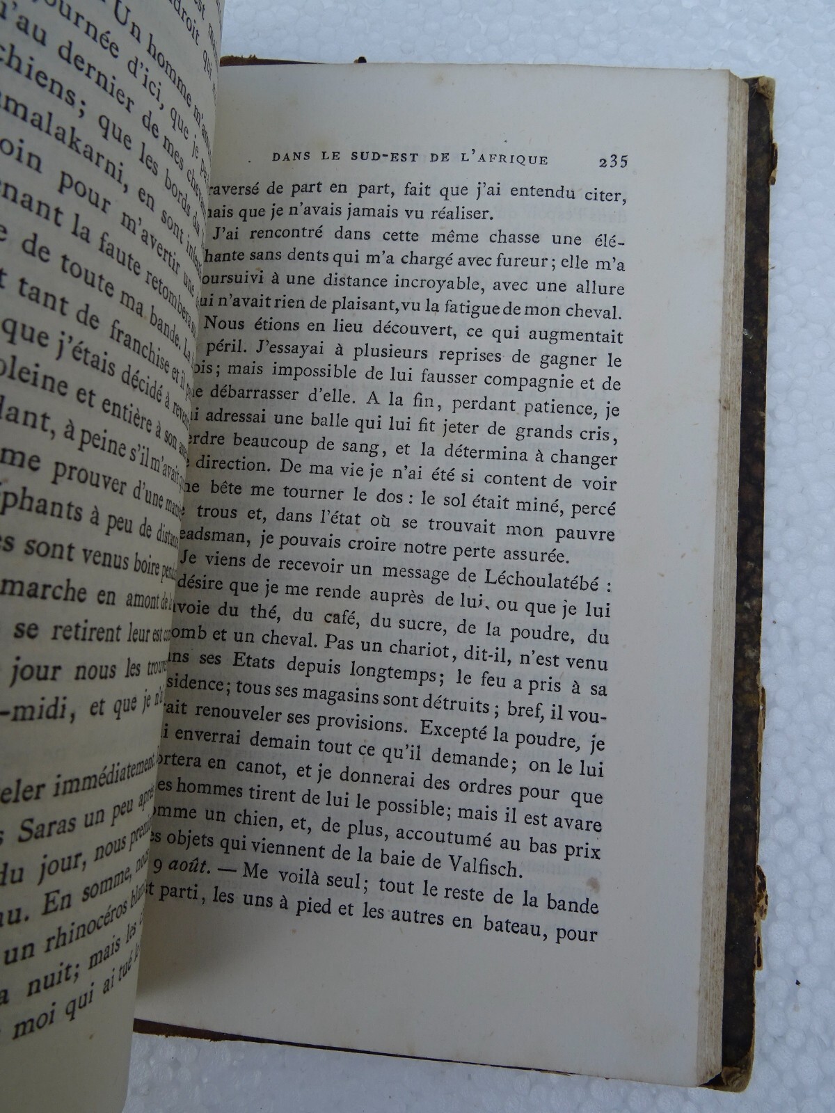 Exploration and hunting narratives - Image 3
