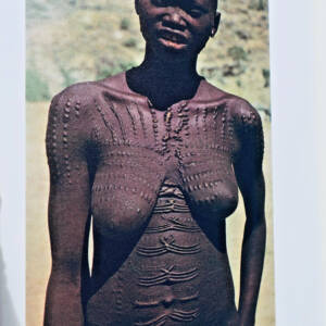 afrique DUERDEN DENNIS African art