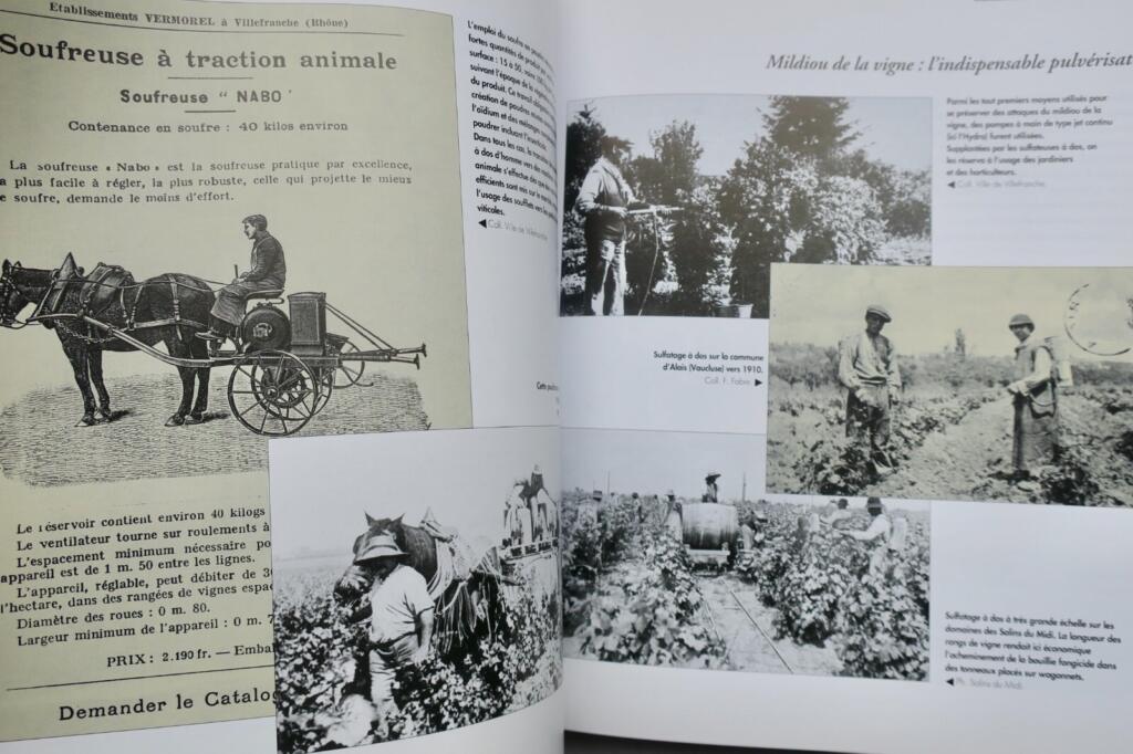 Crop Protection and Agricultural Labor