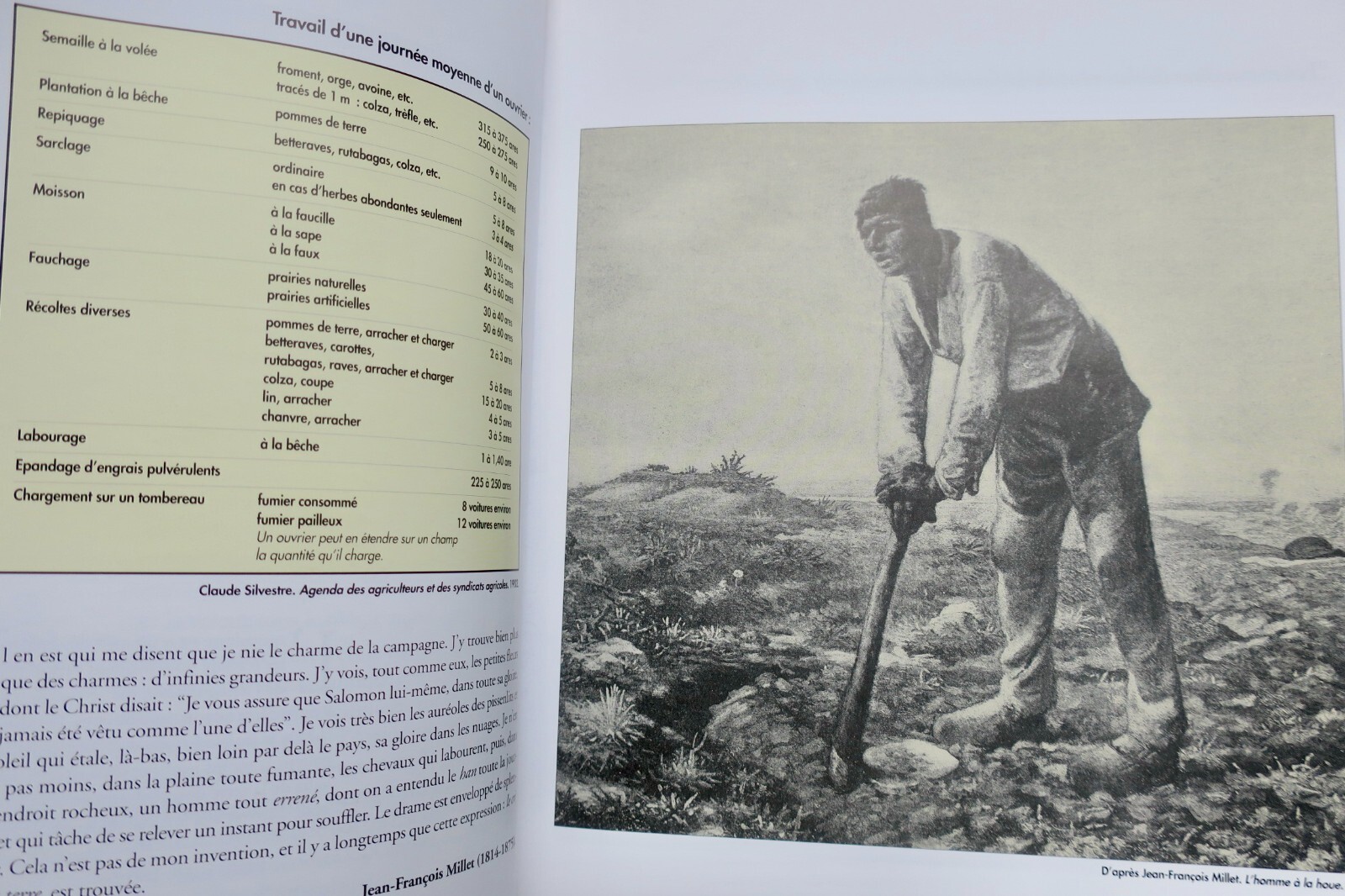 Agricultural practices and labor - Image 12