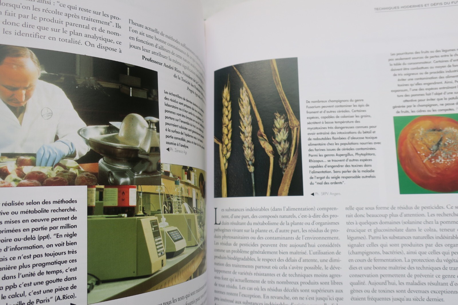 Agricultural practices and labor - Image 3