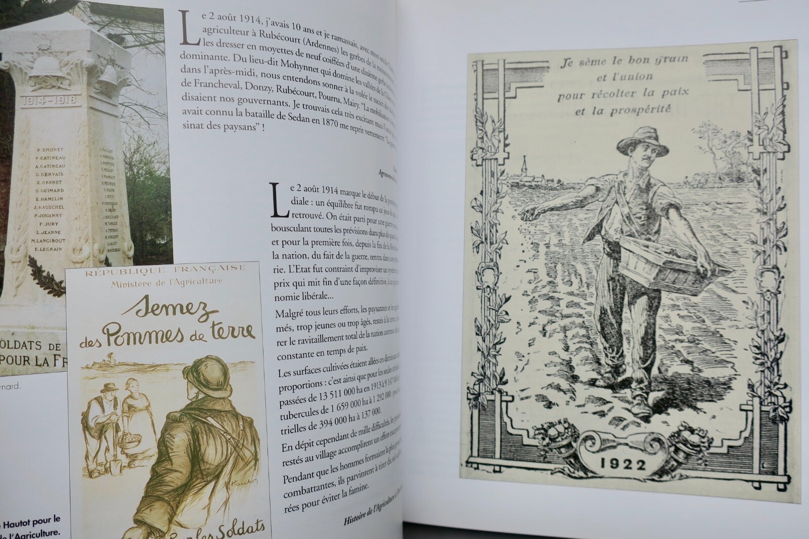 Agricultural practices and labor - Image 7