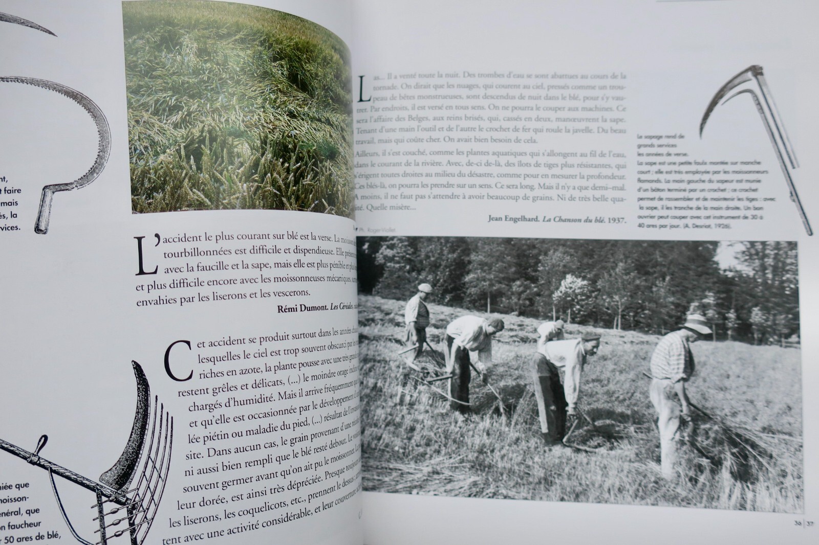 Agricultural practices and labor - Image 11