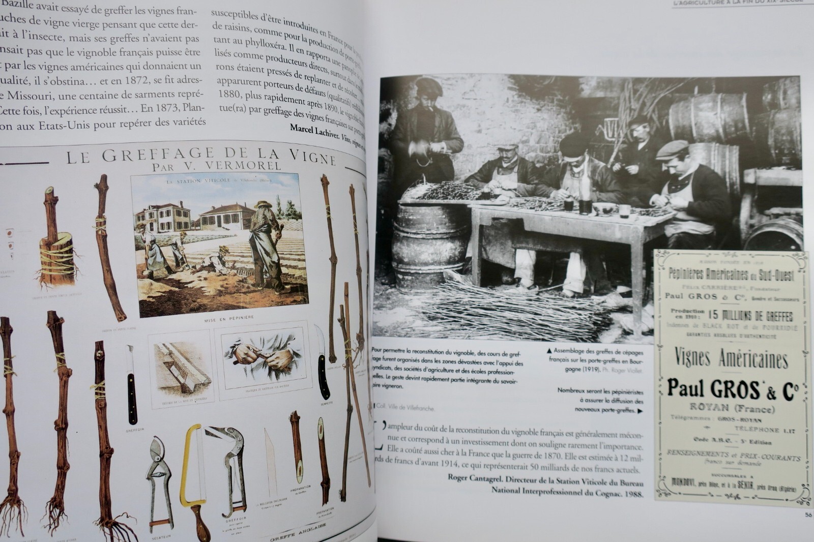 Agricultural practices and labor - Image 9