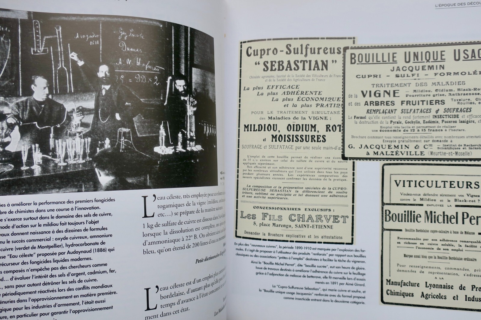 Agricultural practices and labor - Image 8