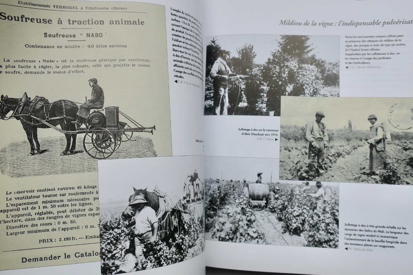 Agricultural practices and labor - Image 10