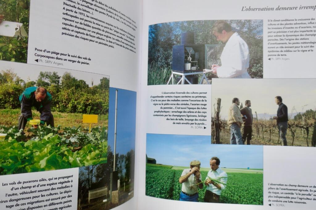 Crop Protection and Agricultural Labor