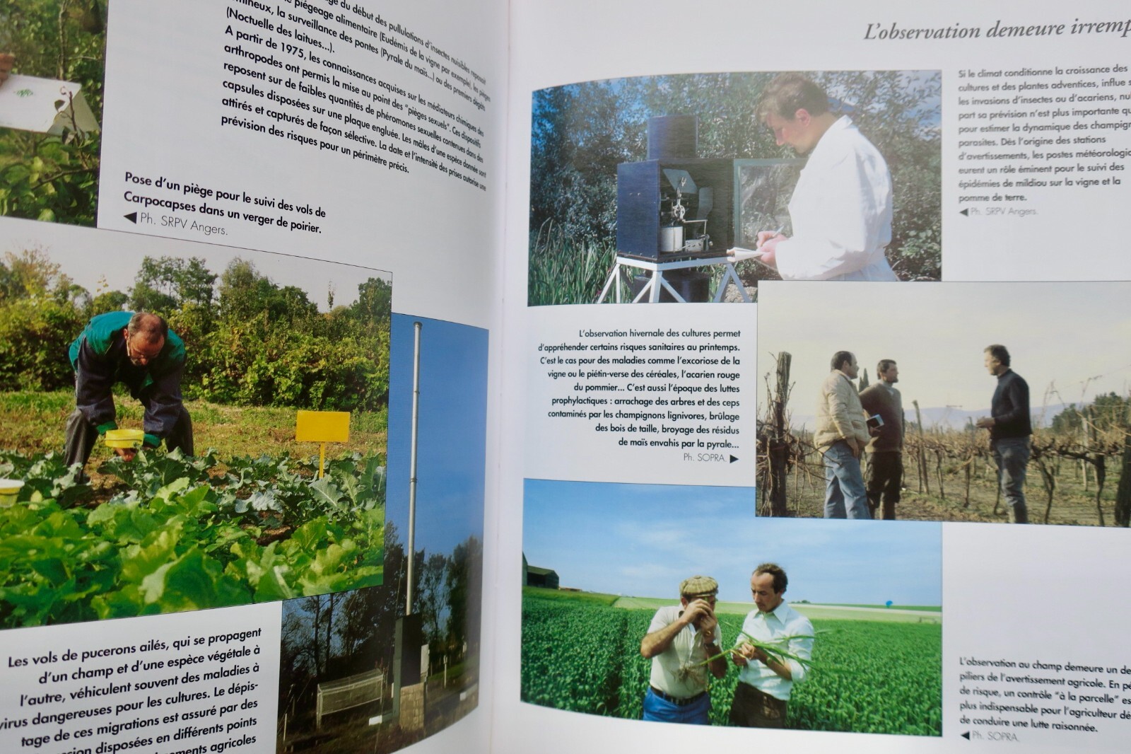 Agricultural practices and labor - Image 4