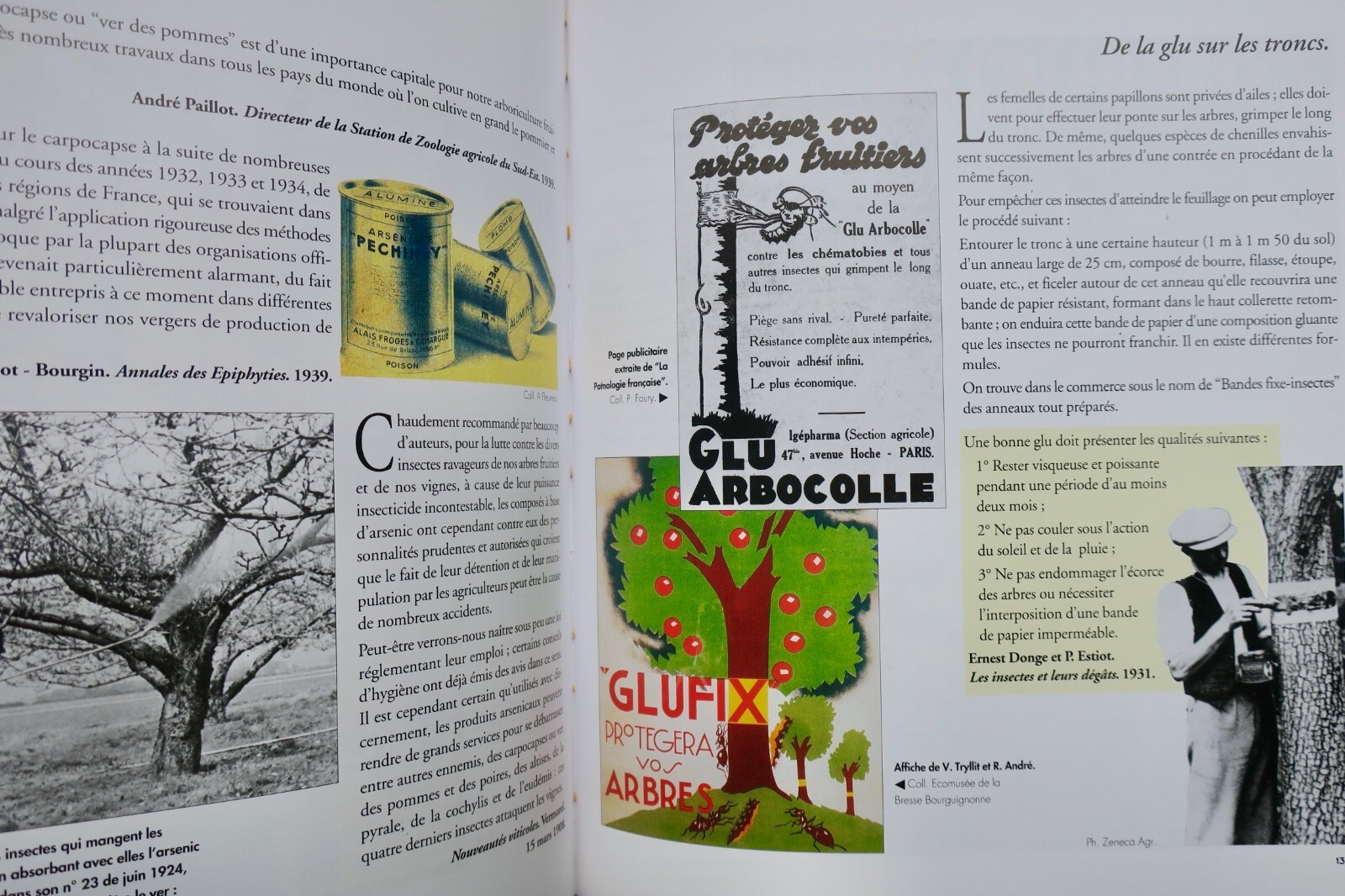 Agricultural practices and labor - Image 6