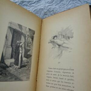 Albert du Bois L'amant légal Illustrations de F. Schmidt