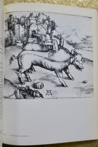 Eine Studie über Albert Dürer - Image 3