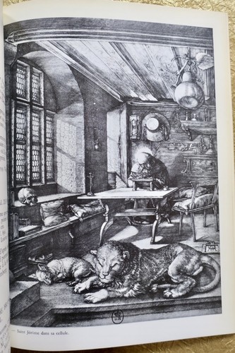 Eine Studie über Albert Dürer - Image 6